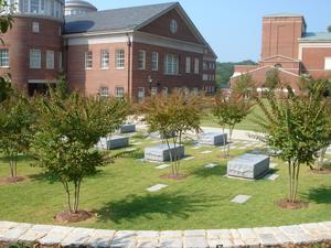 University of Georgia