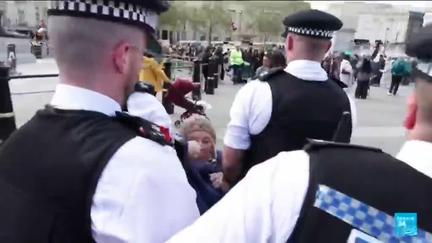 Over 500 arrested at London rally