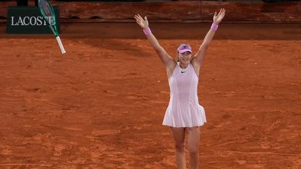 French Open Semifinalists Emerge