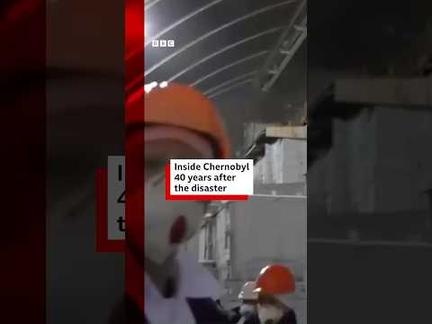 Chernobyl wildlife thrives 40 years later