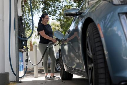 Markets rally as oil prices plunge