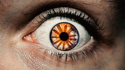 Anthropic's Mythos AI Spooks Markets