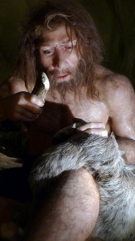 Neanderthal dentistry discovered