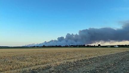 Wildfire Rages in Fontainebleau Forest Near Paris