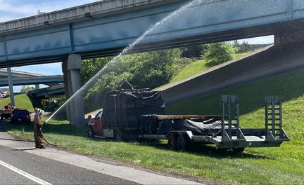 1 million bees swarm highway