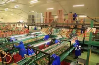 China scraps African import tariffs