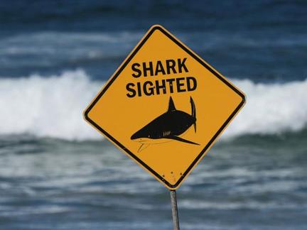 Third Fatal Shark Attack in Australia