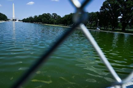 Ex-Olympian Indicted in Reflecting Pool Case
