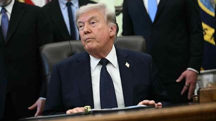 Trump Considers Spirit Airlines Takeover