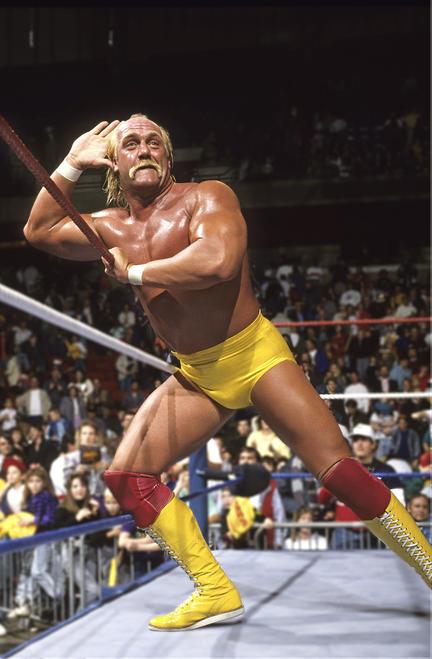 Hulk Hogan Netflix Docuseries