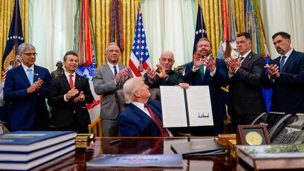 FDA fast-tracks psychedelics