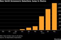 El Niño Climate Event Imminent