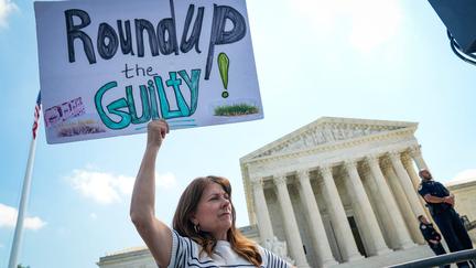 Supreme Court Roundup case divide