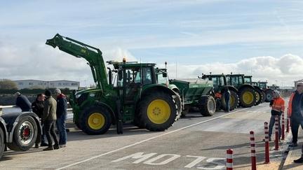 Ireland's fuel crisis and protests