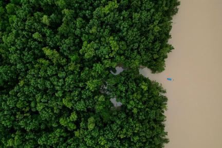 Brazil Commits $617M to Amazon