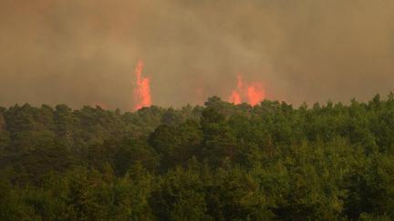 Wildfires Force Mass Evacuations in France and Spain