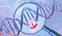 Lykos Gene Therapy Slashes Cholesterol