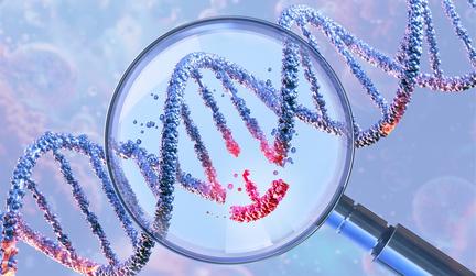 Lykos Gene Therapy Slashes Cholesterol