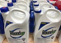 Supreme Court Roundup case divide