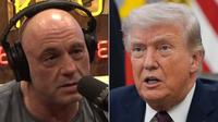 UFC Cage Rises at White House