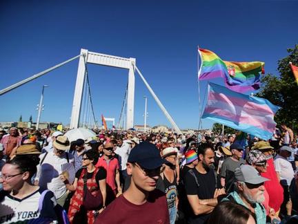 EU Rules Against Hungary's LGBTQ Law