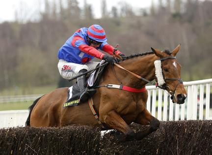 Grand National Horse Hospitalized