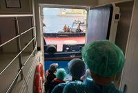 Hantavirus Outbreak Prompts Research