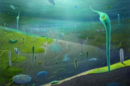 New fossil discovery in China