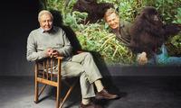 Attenborough marks 100th birthday