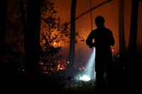 Fontainebleau Forest Fire: Arson Arrests