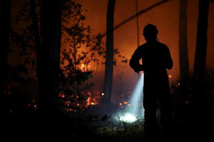 Fontainebleau Forest Fire: Arson Arrests