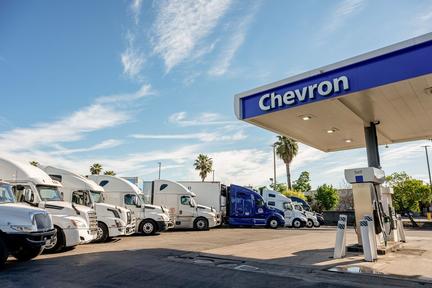 Markets rally on truce