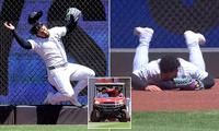 Yankees' Dominguez carted off