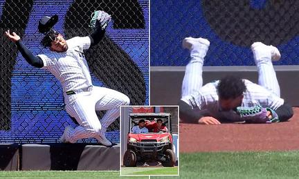 Yankees' Dominguez carted off