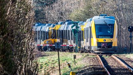 Danish head-on train collision