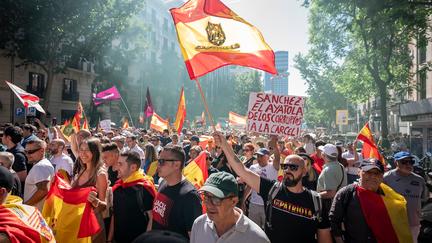 Protests in Madrid demand PM quit