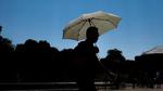 UK Heatwave Deaths Exceed 2,700