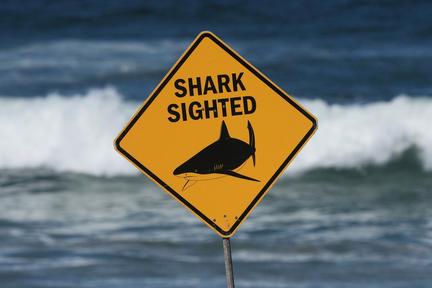 Fatal shark attack in Queensland