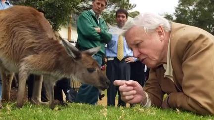 Attenborough marks 100th birthday
