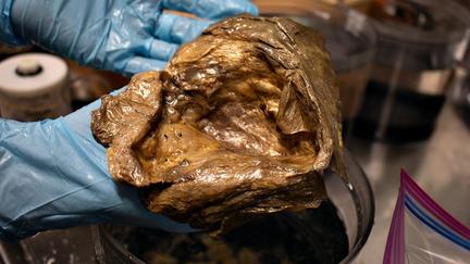 Mysterious 'Golden Orb' Identified