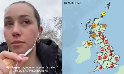 Pollen bomb hits UK