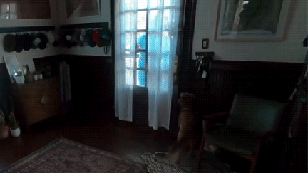 Artemis II crew returns home