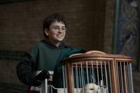 Harry Potter TV series renewed