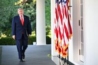 Trump Reports Over $1 Billion in Crypto Income