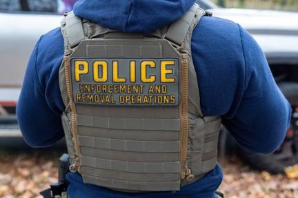 ICE background check investigation