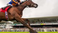 French Derby Won by Constitution River