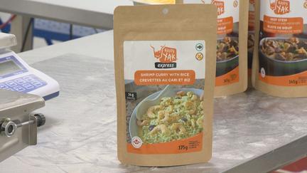 Artemis II crew returns home