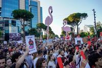Albania Protests Kushner-Linked Resort