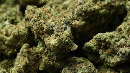 Trump administration reclassifies medical marijuana