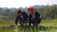 Vietnam’s Hmong communities confront climate‑induced displacement